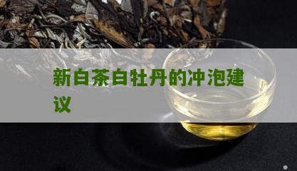 新白茶白牡丹的冲泡建议