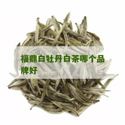 福鼎白牡丹白茶哪个品牌好