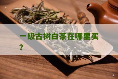 一级古树白茶在哪里买？