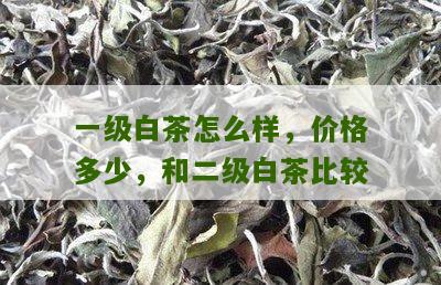 一级白茶怎么样，价格多少，和二级白茶比较