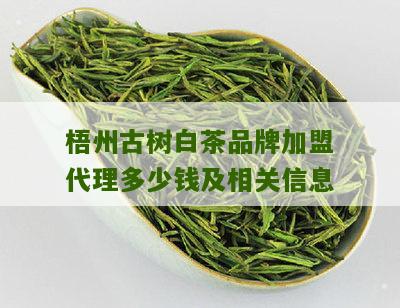 梧州古树白茶品牌加盟代理多少钱及相关信息