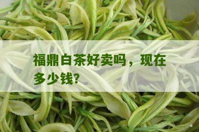 福鼎白茶好卖吗，现在多少钱？