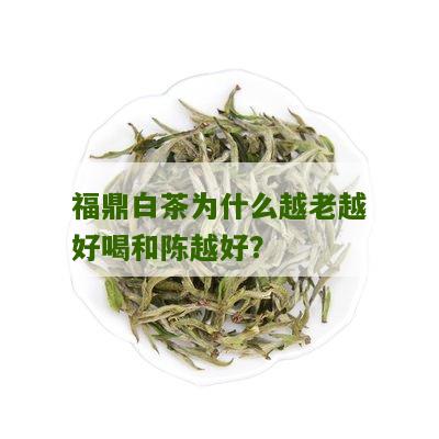 福鼎白茶为什么越老越好喝和陈越好？