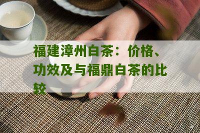 福建漳州白茶：价格、功效及与福鼎白茶的比较