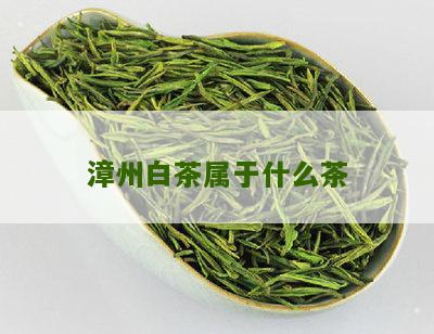 漳州白茶属于什么茶