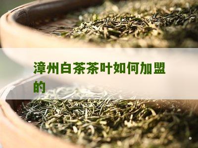 漳州白茶茶叶如何加盟的