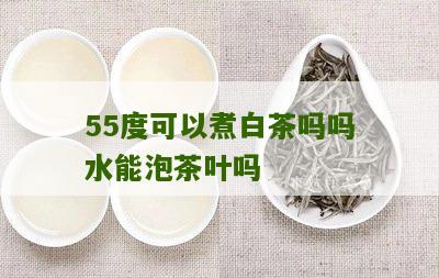 55度可以煮白茶吗吗水能泡茶叶吗