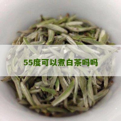 55度可以煮白茶吗吗