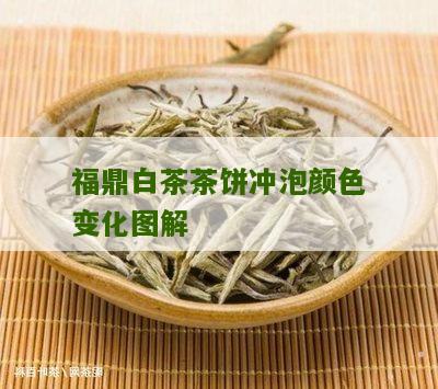 福鼎白茶茶饼冲泡颜色变化图解