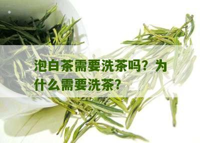 泡白茶需要洗茶吗？为什么需要洗茶？