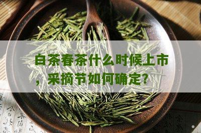 白茶春茶什么时候上市，采摘节如何确定？