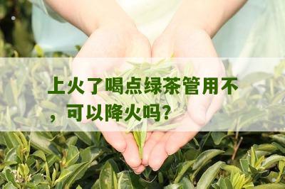 上火了喝点绿茶管用不，可以降火吗？