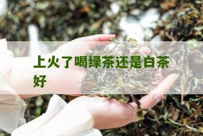 上火了喝绿茶还是白茶好