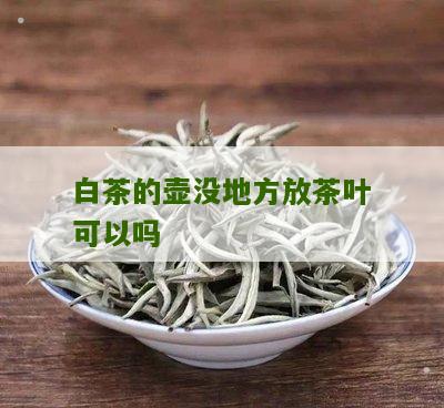 白茶的壶没地方放茶叶可以吗