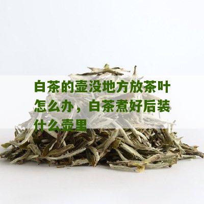 白茶的壶没地方放茶叶怎么办，白茶煮好后装什么壶里