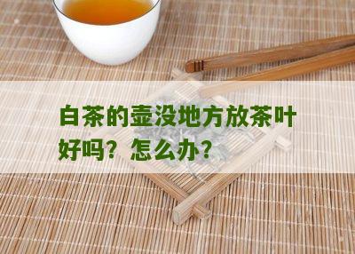 白茶的壶没地方放茶叶好吗？怎么办？