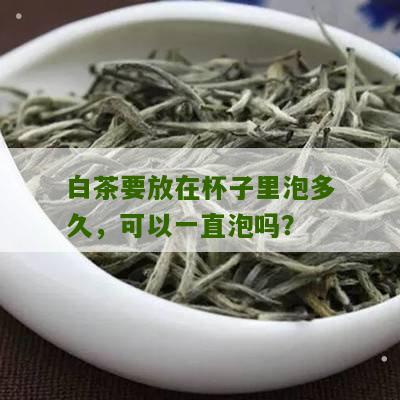 白茶要放在杯子里泡多久，可以一直泡吗？