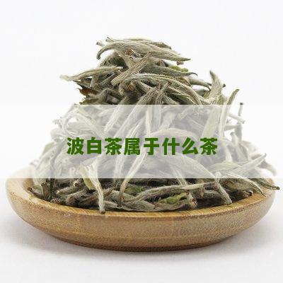 波白茶属于什么茶