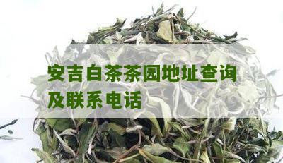 安吉白茶茶园地址查询及联系电话