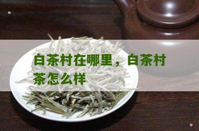 白茶村在哪里，白茶村茶怎么样