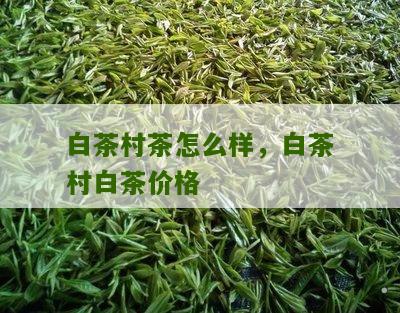 白茶村茶怎么样，白茶村白茶价格