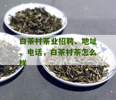 白茶村茶业招聘、地址、电话，白茶村茶怎么样