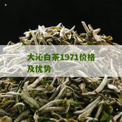 大沁白茶1971价格及优势