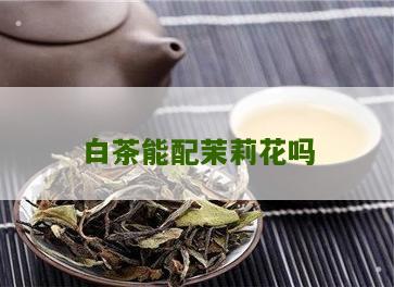 白茶能配茉莉花吗