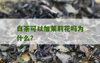 白茶可以加茉莉花吗为什么？