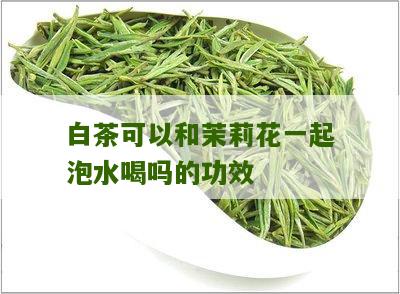 白茶可以和茉莉花一起泡水喝吗的功效