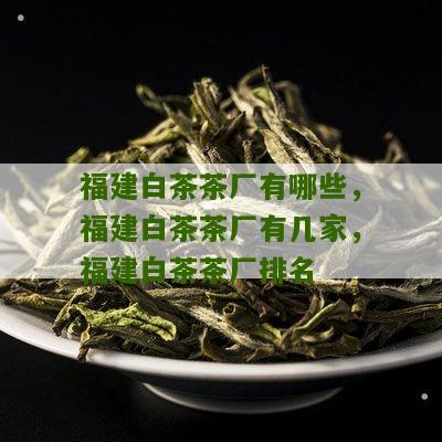 福建白茶茶厂有哪些，福建白茶茶厂有几家，福建白茶茶厂排名