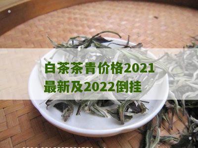 白茶茶青价格2021最新及2022倒挂