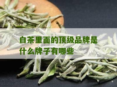 白茶里面的顶级品牌是什么牌子有哪些