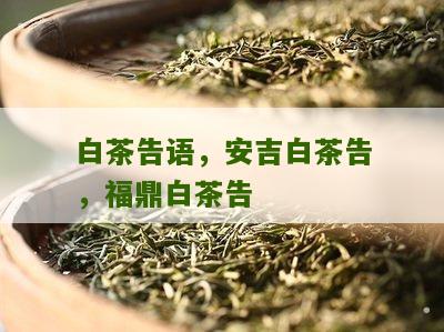 白茶告语，安吉白茶告，福鼎白茶告