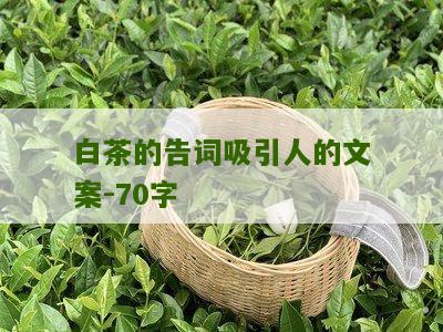 白茶的告词吸引人的文案-70字