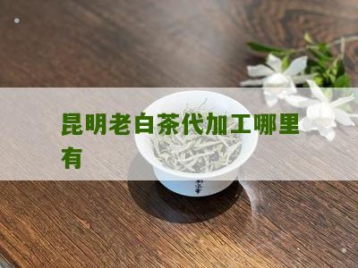 昆明老白茶代加工哪里有