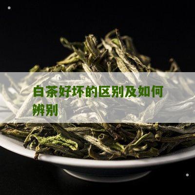 白茶好坏的区别及如何辨别