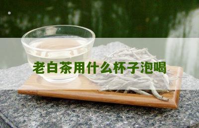 老白茶用什么杯子泡喝