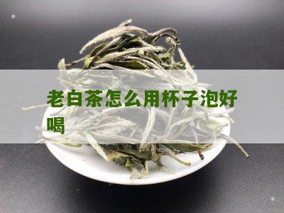 老白茶怎么用杯子泡好喝