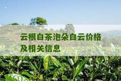 云根白茶泡朵白云价格及相关信息