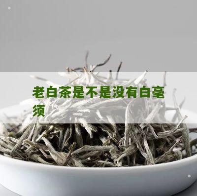 老白茶是不是没有白毫须