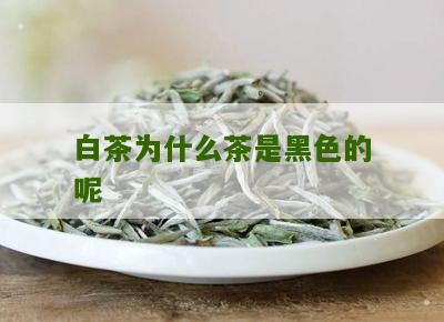 白茶为什么茶是黑色的呢