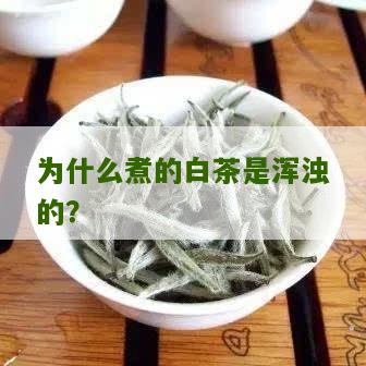 为什么煮的白茶是浑浊的？