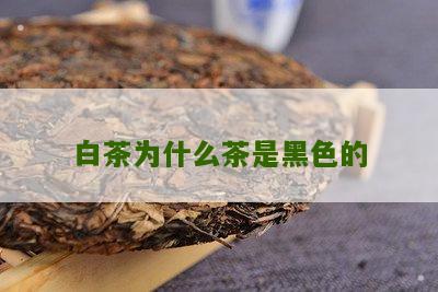 白茶为什么茶是黑色的