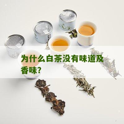 为什么白茶没有味道及香味？