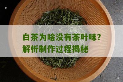 白茶为啥没有茶叶味？解析制作过程揭秘