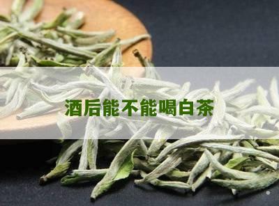 酒后能不能喝白茶