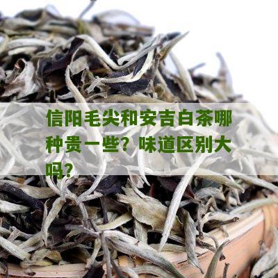 信阳毛尖和安吉白茶哪种贵一些？味道区别大吗？