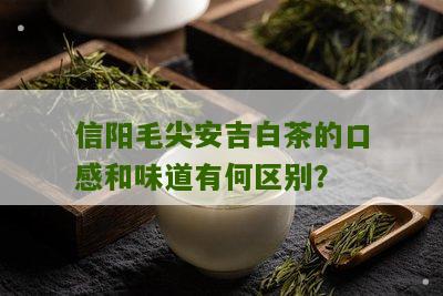 信阳毛尖安吉白茶的口感和味道有何区别？