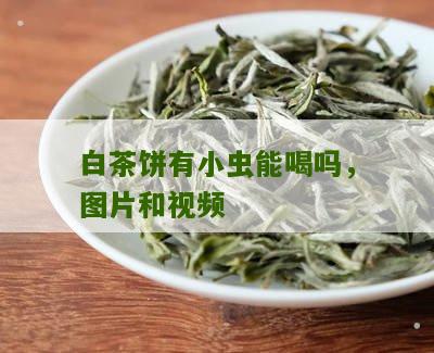 白茶饼有小虫能喝吗，图片和视频